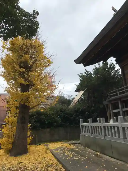 大港神社の自然