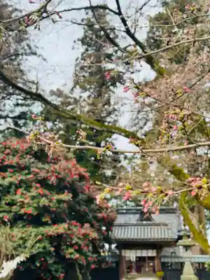 守りの神　藤基神社(新潟県)