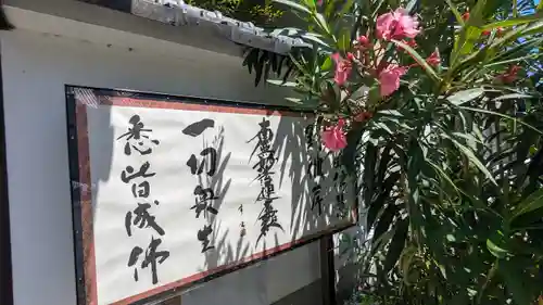 善性院(京都府)