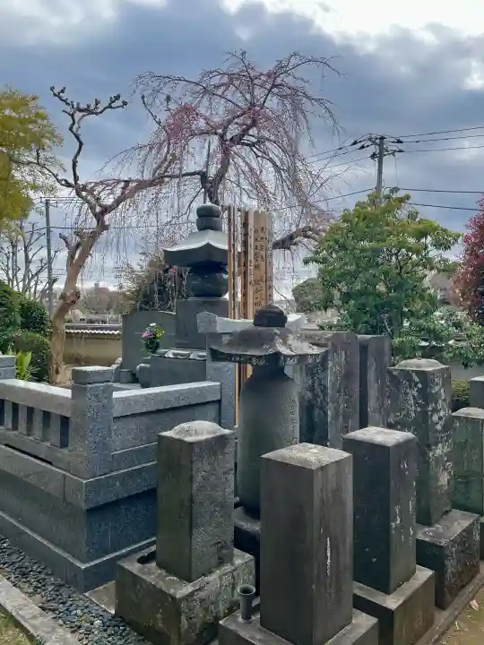 法真寺の{uncategorized: "未分類", other: "その他", undefined: "問題あり", building: "その他建物", grave: "お墓", sacred_gate: "鳥居", guardian: "狛犬", statue: "像", buddha: "仏像", history: "歴史", nature: "自然", garden: "庭園", animal: "動物", pagoda: "塔", temizu: "手水舎", mountain_gate: "山門・神門", sanctuary: "本殿・本堂", subordinate: "末社・摂社", art: "芸術", scenery: "景色", jizo: "地蔵", ema: "絵馬", goshuin: "御朱印", omikuji: "おみくじ", items: "授与品その他", amulet: "お守り", goshuincho: "御朱印帳", eats: "食事", festival: "お祭り", votive_dance: "神楽", shichigosan: "七五三参", wedding: "結婚式", experience: "体験その他", initially: "初詣", around: "周辺", anti_infection: "感染症対策"}
