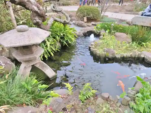 長谷寺の庭園