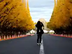 明治神宮(東京都)