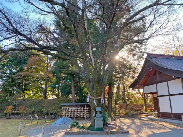 武田神社の自然