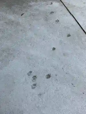 行願寺（革堂）(京都府)