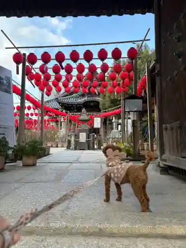 おふさ観音（観音寺）の{uncategorized: "未分類", other: "その他", undefined: "問題あり", building: "その他建物", grave: "お墓", sacred_gate: "鳥居", guardian: "狛犬", statue: "像", buddha: "仏像", history: "歴史", nature: "自然", garden: "庭園", animal: "動物", pagoda: "塔", temizu: "手水舎", mountain_gate: "山門・神門", sanctuary: "本殿・本堂", subordinate: "末社・摂社", art: "芸術", scenery: "景色", jizo: "地蔵", ema: "絵馬", goshuin: "御朱印", omikuji: "おみくじ", items: "授与品その他", amulet: "お守り", goshuincho: "御朱印帳", eats: "食事", festival: "お祭り", votive_dance: "神楽", shichigosan: "七五三参", wedding: "結婚式", experience: "体験その他", initially: "初詣", around: "周辺", anti_infection: "感染症対策"}