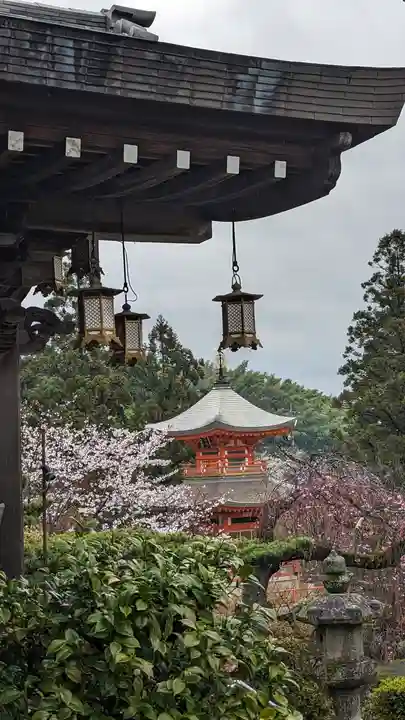 正法寺(京都府)