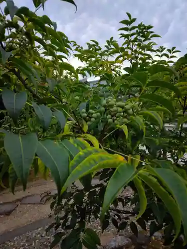 萬福寺(京都府)