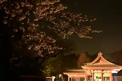 鶴岡八幡宮(神奈川県)
