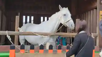 賀茂別雷神社（上賀茂神社）(京都府)