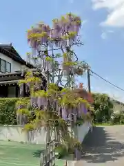 弘聖寺(神奈川県)