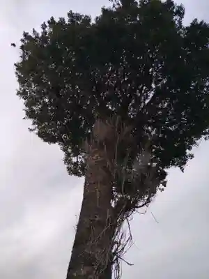 稲荷社(神奈川県)