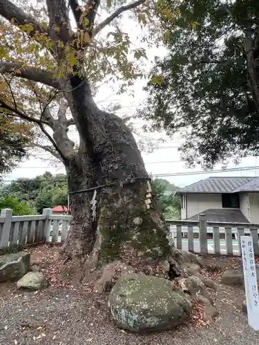 比比多神社（子易明神）(神奈川県)