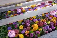 豊景神社の手水舎