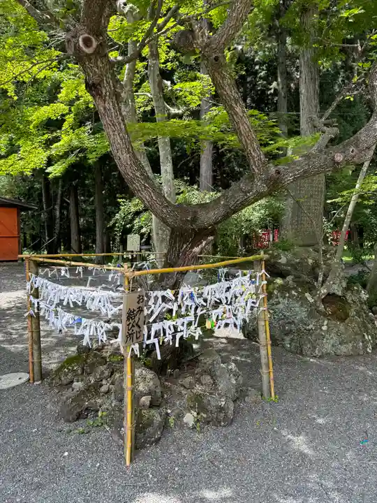 冨士御室浅間神社(山梨県)