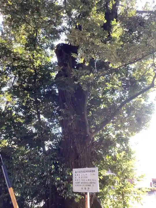 御首神社(岐阜県)