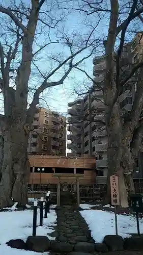 熊野神社の自然
