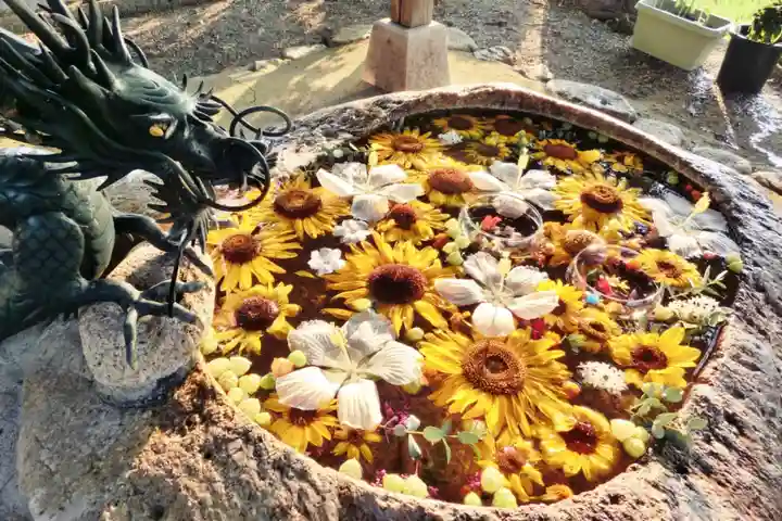 立志神社の手水舎