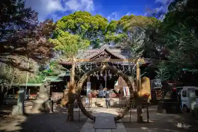 代々木八幡宮(東京都)