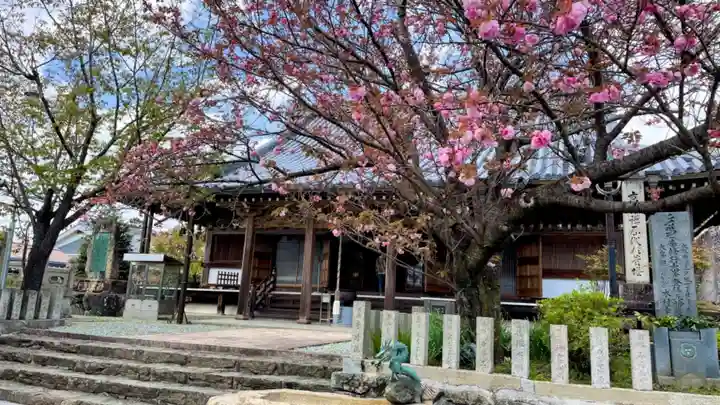 櫻本坊の本殿・本堂