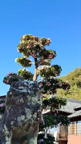 加佐美神社(岐阜県)