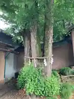 三嶋神社の自然