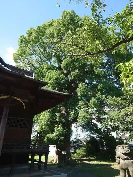 田代八坂神社(佐賀県)