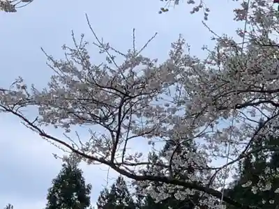 淡墨観音の自然