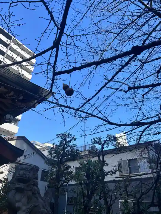 秋葉神社の{uncategorized: "未分類", other: "その他", undefined: "問題あり", building: "その他建物", grave: "お墓", sacred_gate: "鳥居", guardian: "狛犬", statue: "像", buddha: "仏像", history: "歴史", nature: "自然", garden: "庭園", animal: "動物", pagoda: "塔", temizu: "手水舎", mountain_gate: "山門・神門", sanctuary: "本殿・本堂", subordinate: "末社・摂社", art: "芸術", scenery: "景色", jizo: "地蔵", ema: "絵馬", goshuin: "御朱印", omikuji: "おみくじ", items: "授与品その他", amulet: "お守り", goshuincho: "御朱印帳", eats: "食事", festival: "お祭り", votive_dance: "神楽", shichigosan: "七五三参", wedding: "結婚式", experience: "体験その他", initially: "初詣", around: "周辺", anti_infection: "感染症対策"}