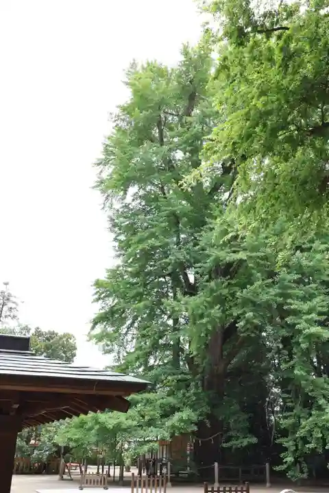 水戸八幡宮(茨城県)