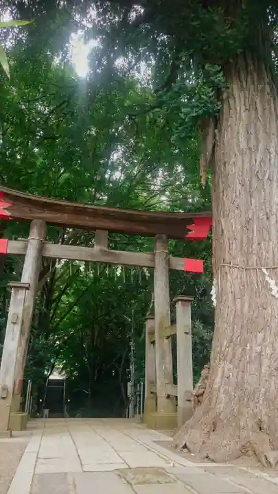 下総国三山 二宮神社の鳥居