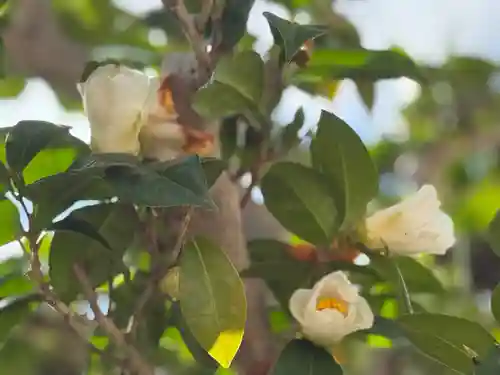 西方山極楽寺(岐阜県)