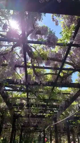 相馬神社の自然