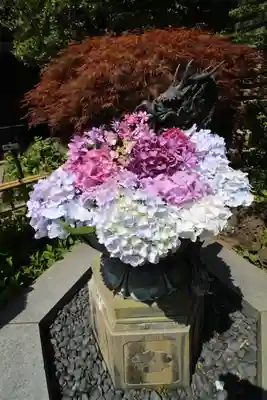 成就院の手水舎