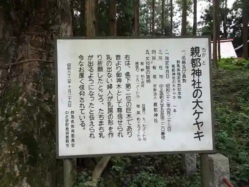 親都神社の歴史