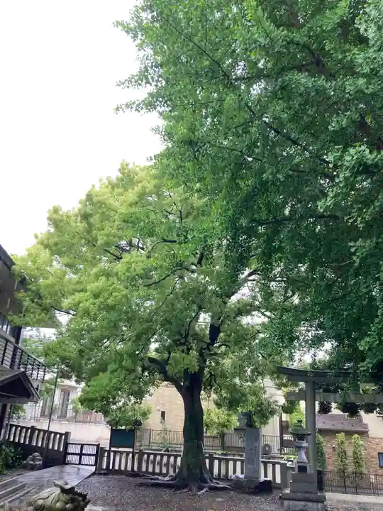 小金八坂神社(千葉県)