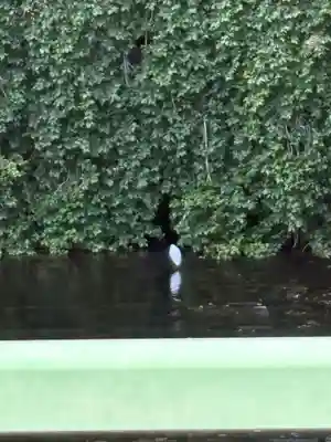 鶴ヶ峰稲荷神社(神奈川県)