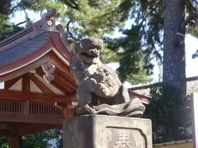 中野沼袋氷川神社の狛犬