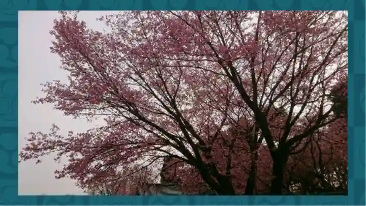 密藏院(埼玉県)