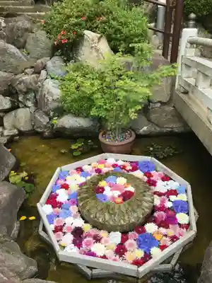 岡寺(龍蓋寺)のその他建物