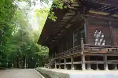 専修寺の本殿