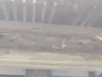 護念寺(神奈川県)