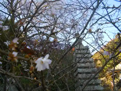 久成寺のその他建物