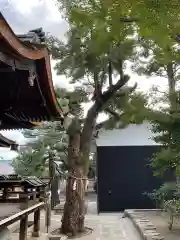 大将軍八神社(京都府)