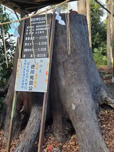 鹿島八幡神社(茨城県)