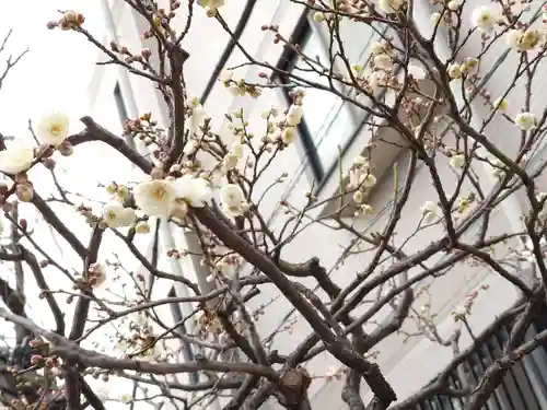 法輪寺(東京都)