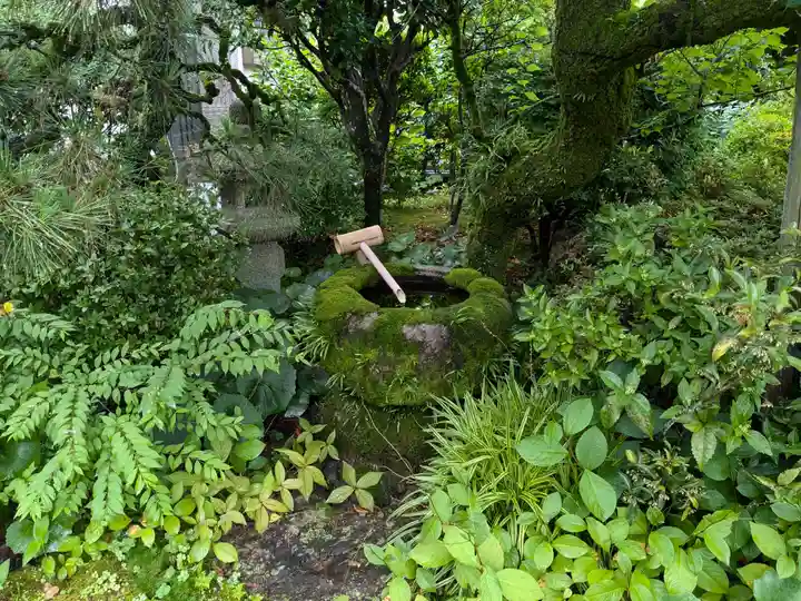 法東山 極楽寺の手水舎