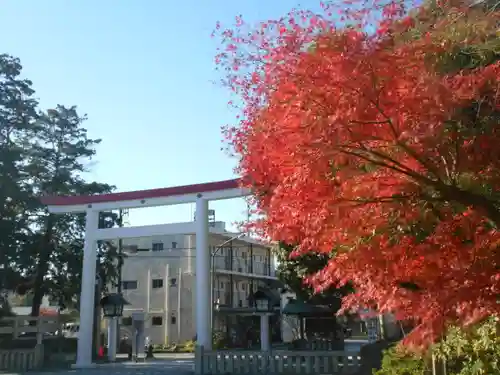 鎌倉宮の鳥居