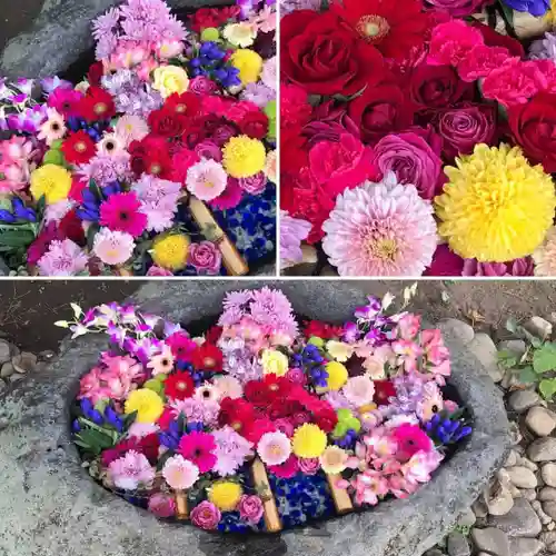 発寒神社の手水舎