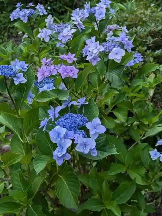 花巻神社(岩手県)