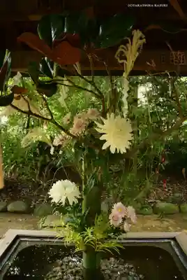 赤坂氷川神社(東京都)